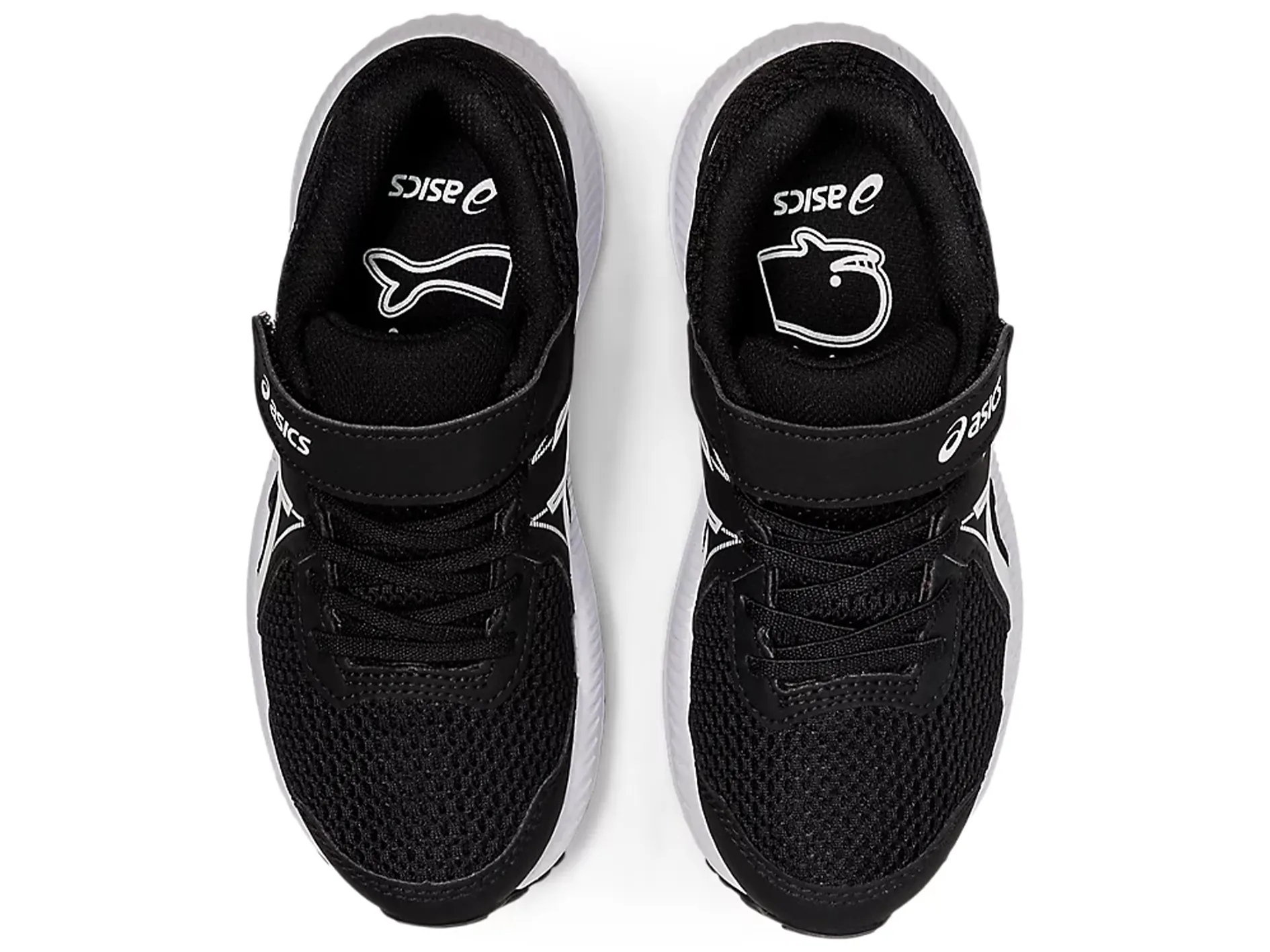 Asics Junior Contend 7 PS Asics Schuhe