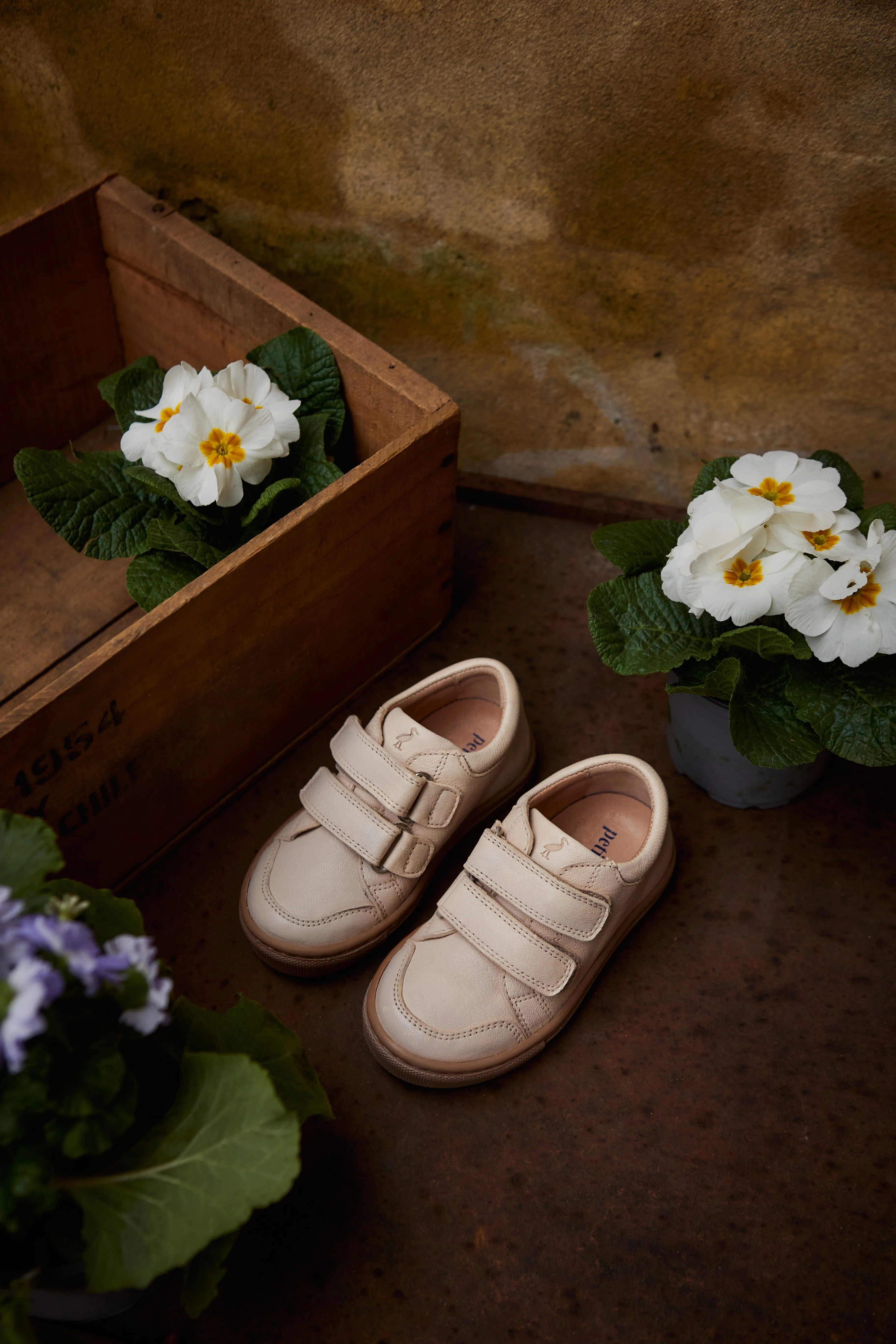 Niedrige Sneaker - Creme