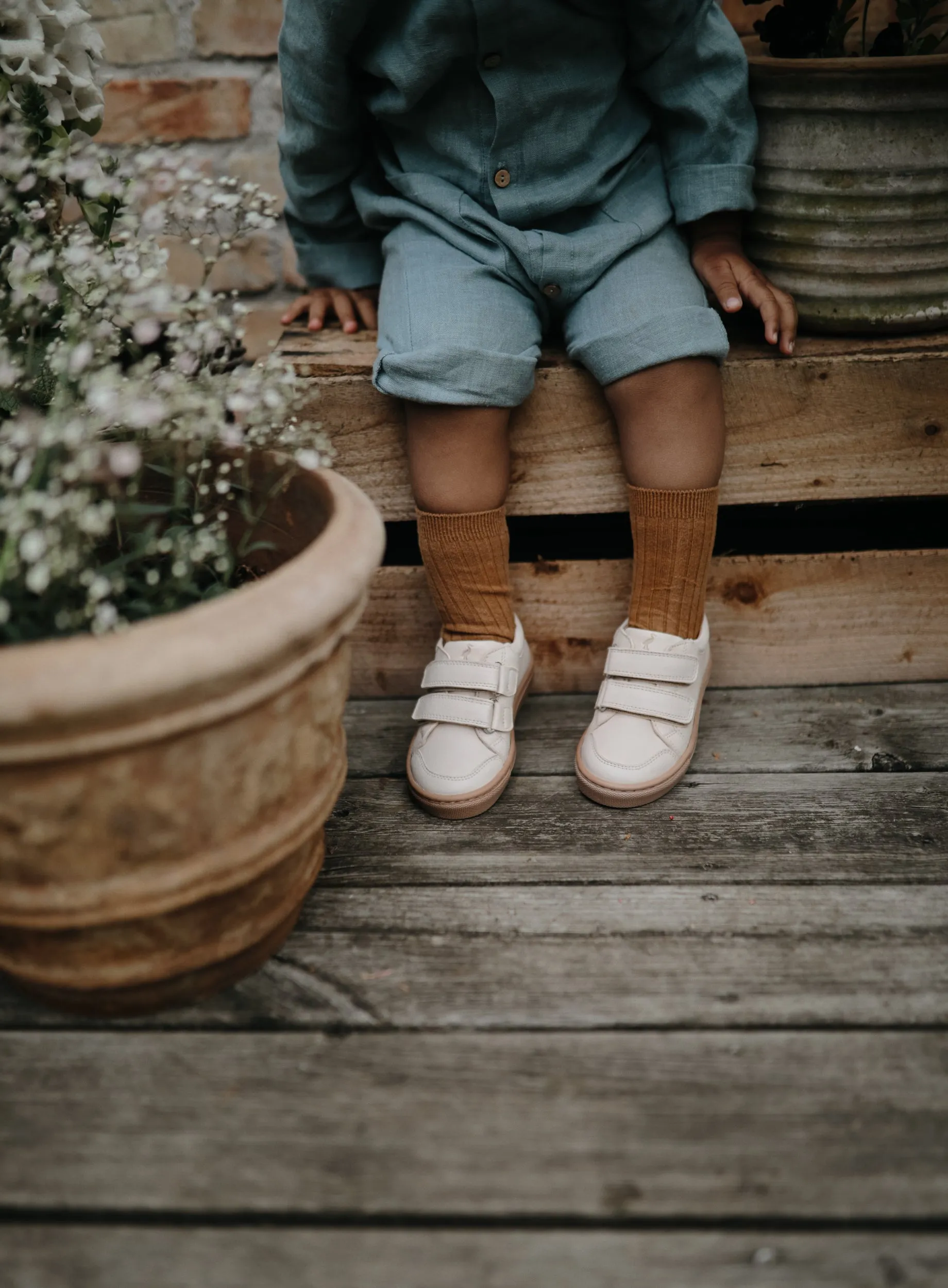Niedrige Sneaker - Creme