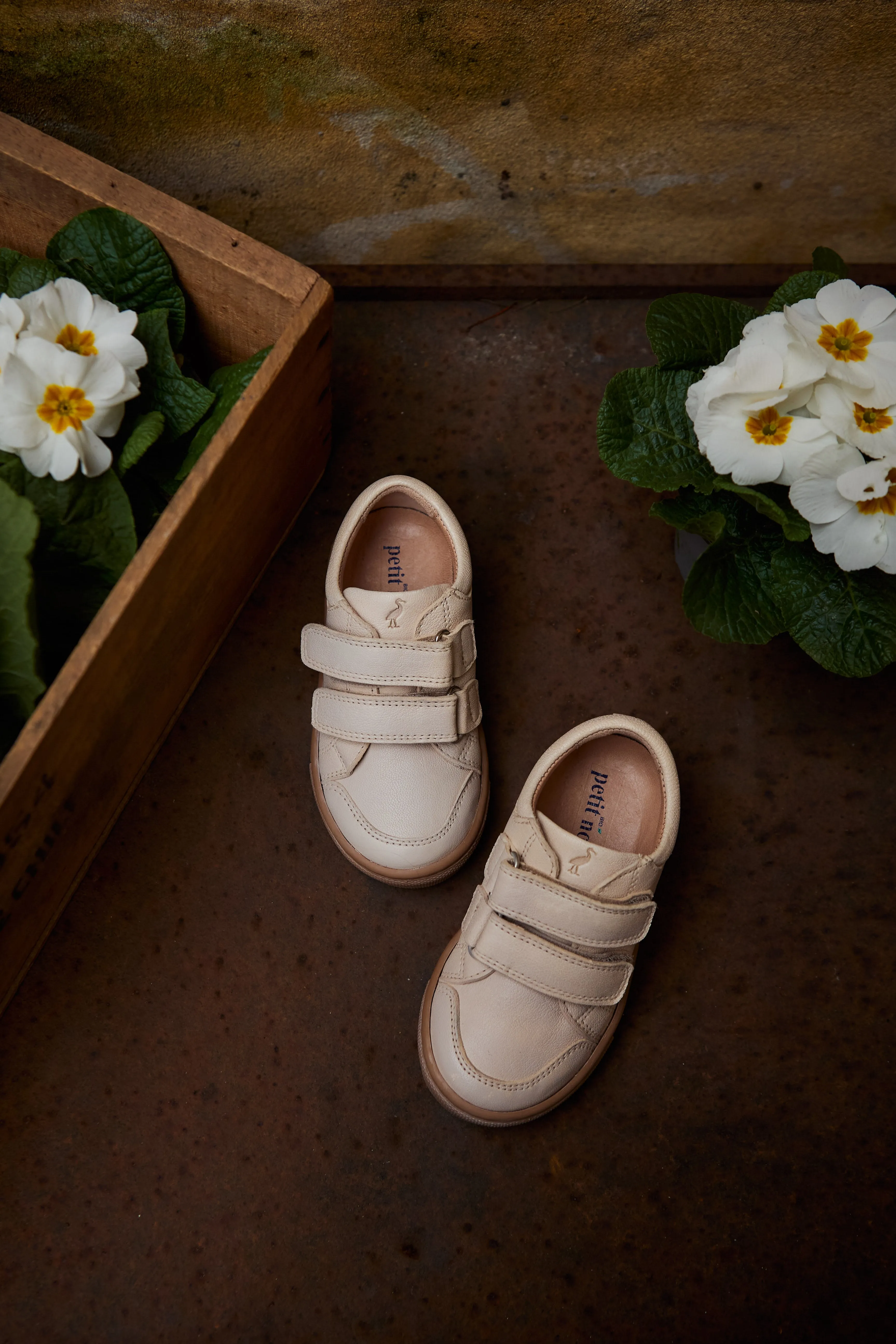 Niedrige Sneaker - Creme