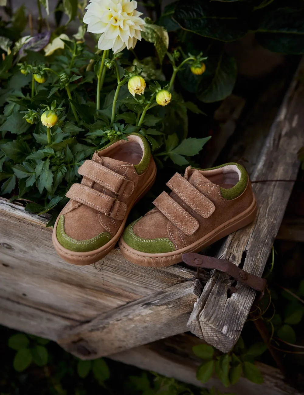 Niedrige Sneaker - Pilz