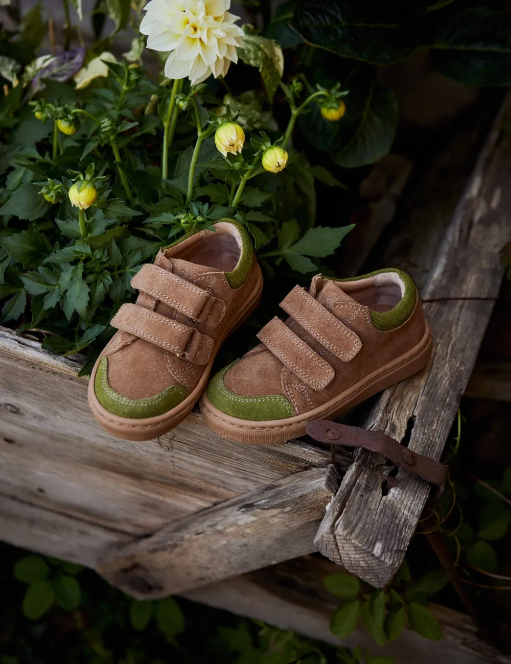 Niedrige Sneaker - Pilz