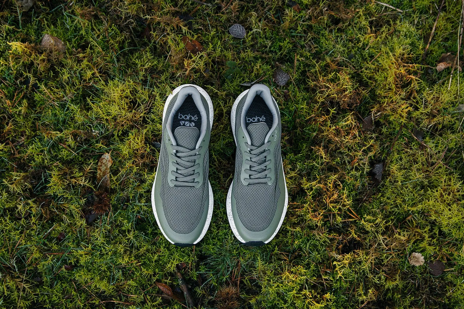 Herren Aufladungs-Erdungs-Vegane Sneakers | Wald