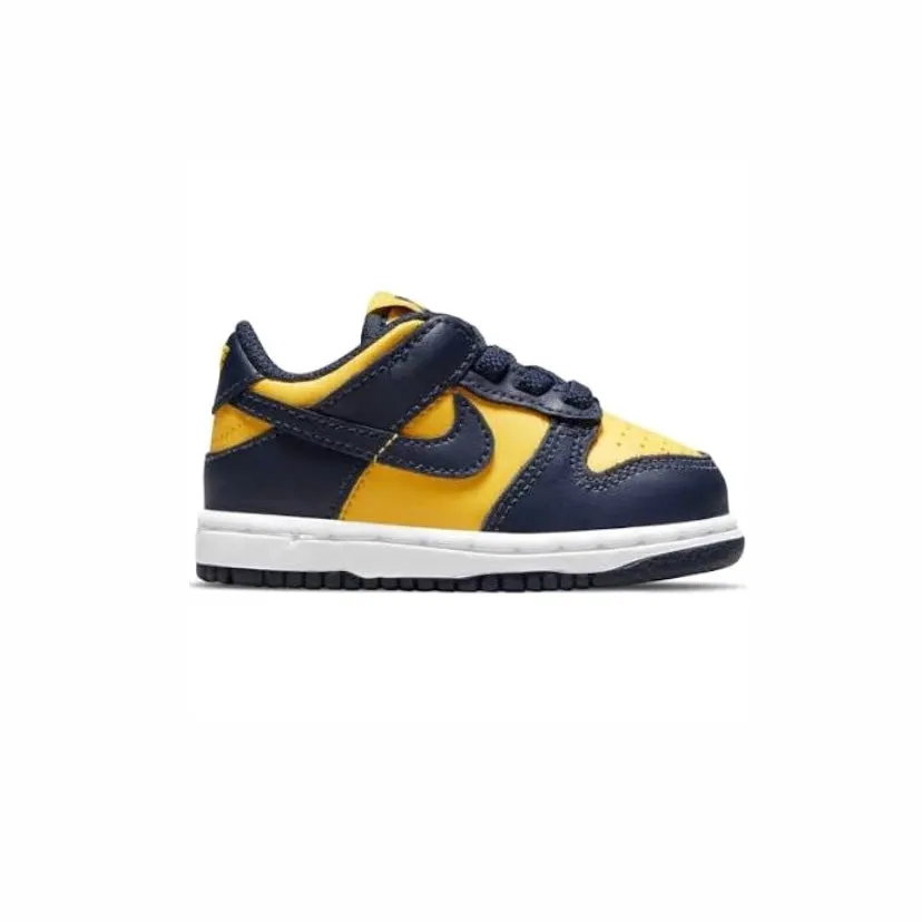 Nike Toddler Dunk Low Michigan 2021 Nike Dunk